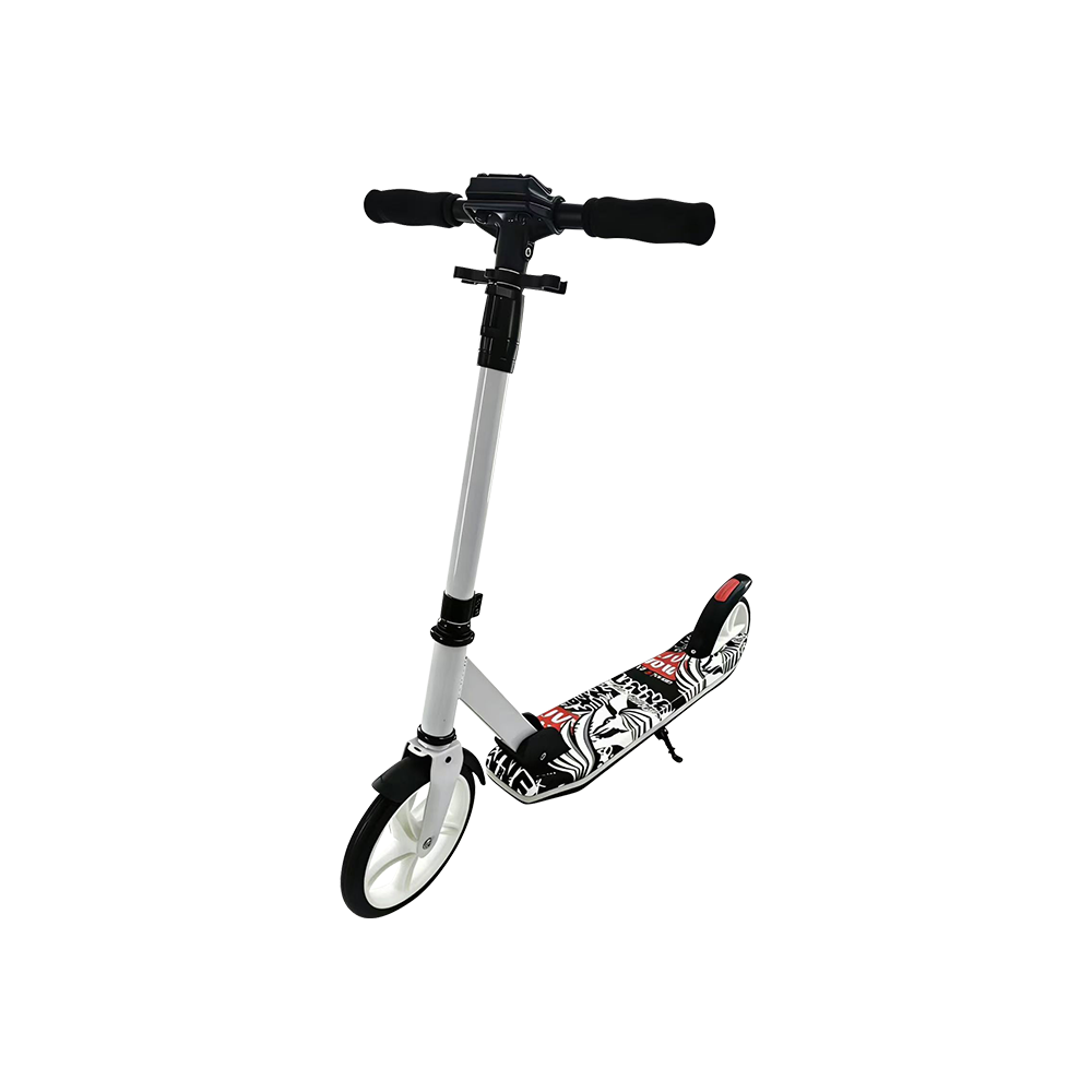 Xe trượt scooter trẻ em bánh lớn FL-1250